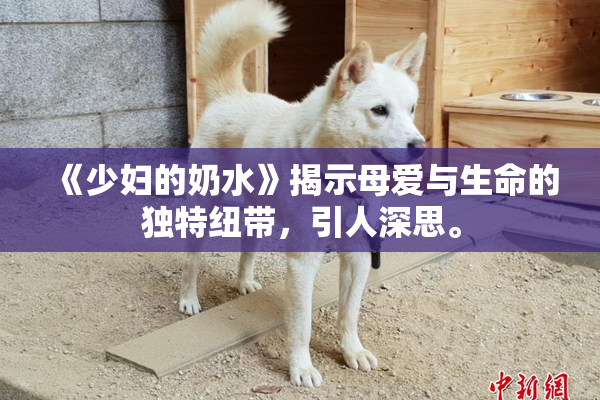 《少妇的奶水》揭示母爱与生命的独特纽带，引人深思。