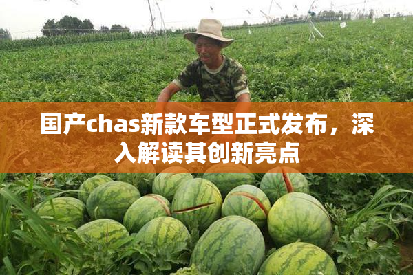 国产chas新款车型正式发布，深入解读其创新亮点