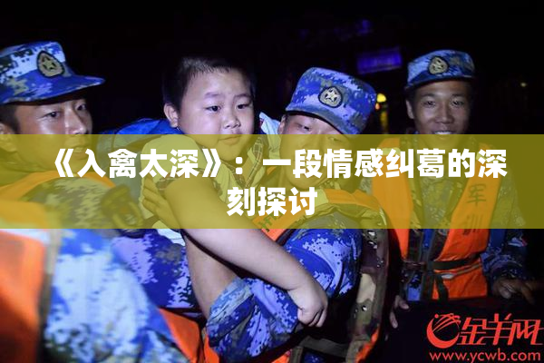 《入禽太深》：一段情感纠葛的深刻探讨