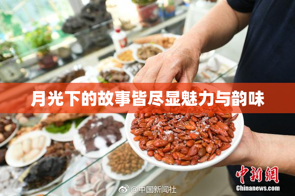 月光下的故事皆尽显魅力与韵味