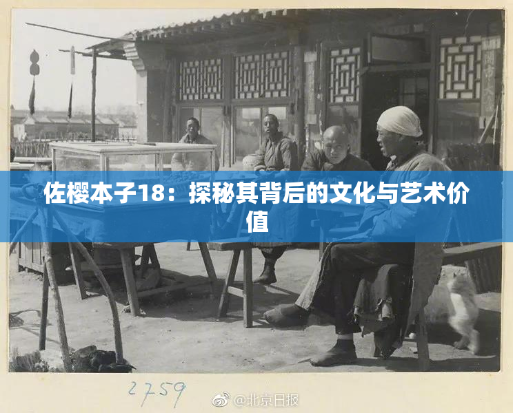 佐樱本子18：探秘其背后的文化与艺术价值