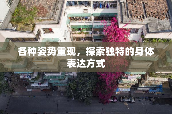 各种姿势重现，探索独特的身体表达方式