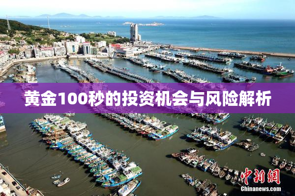 黄金100秒的投资机会与风险解析