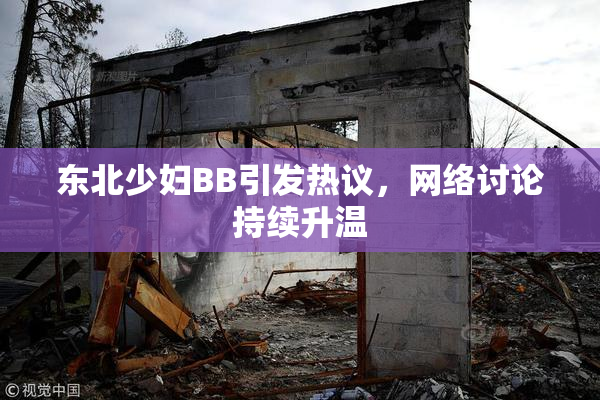 东北少妇BB引发热议，网络讨论持续升温