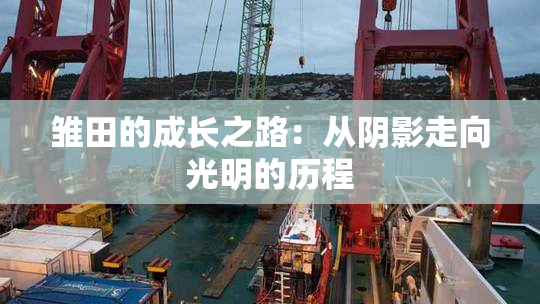 雏田的成长之路：从阴影走向光明的历程