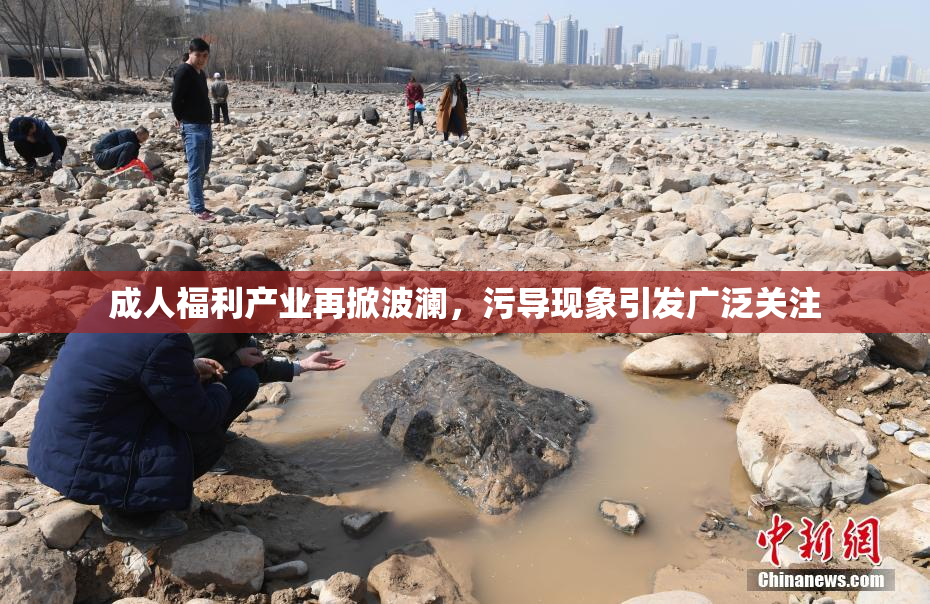成人福利产业再掀波澜，污导现象引发广泛关注