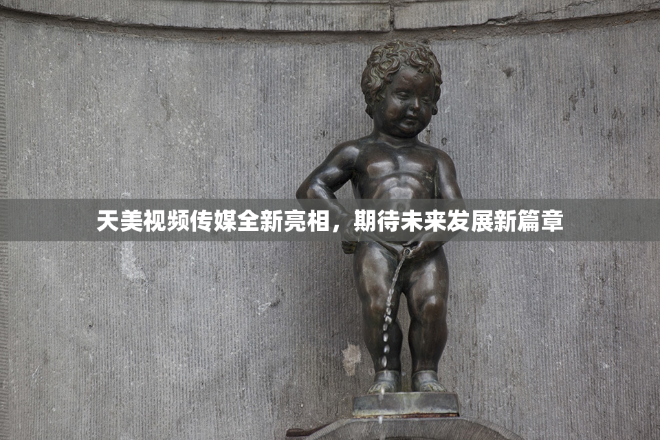 天美视频传媒全新亮相，期待未来发展新篇章