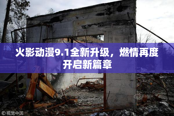 火影动漫9.1全新升级，燃情再度开启新篇章