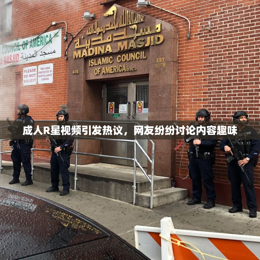 成人R星视频引发热议，网友纷纷讨论内容趣味
