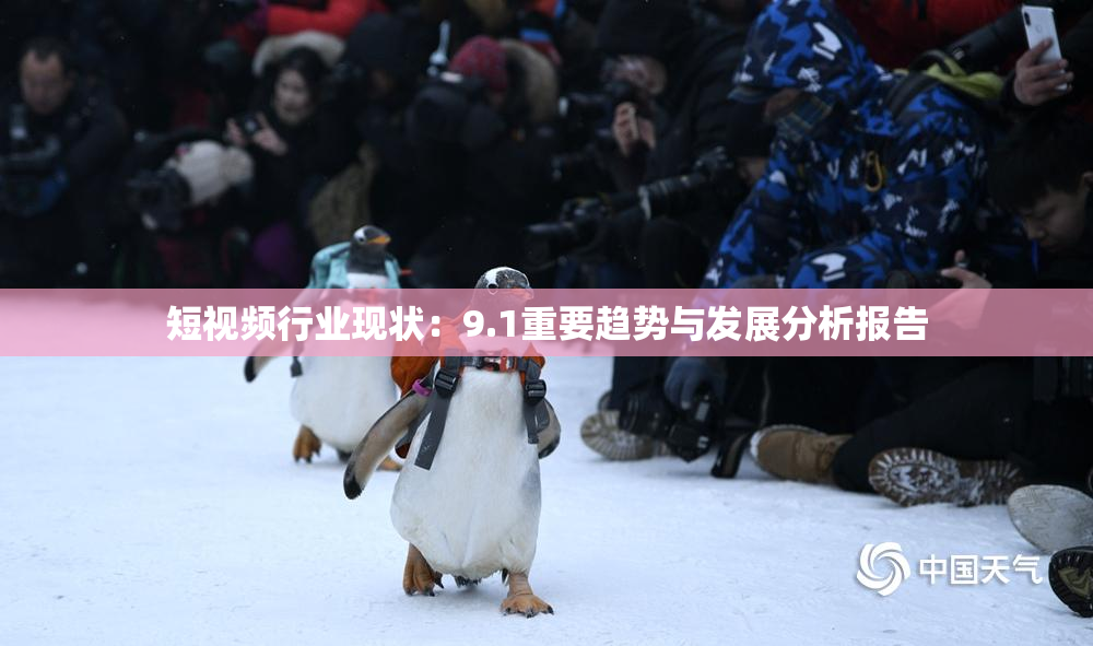 短视频行业现状：9.1重要趋势与发展分析报告