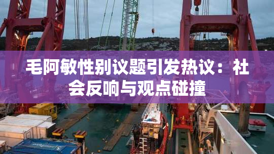 毛阿敏性别议题引发热议：社会反响与观点碰撞