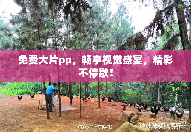 免费大片pp，畅享视觉盛宴，精彩不停歇！