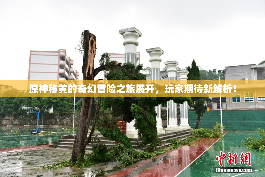 原神秘黄的奇幻冒险之旅展开，玩家期待新解析！