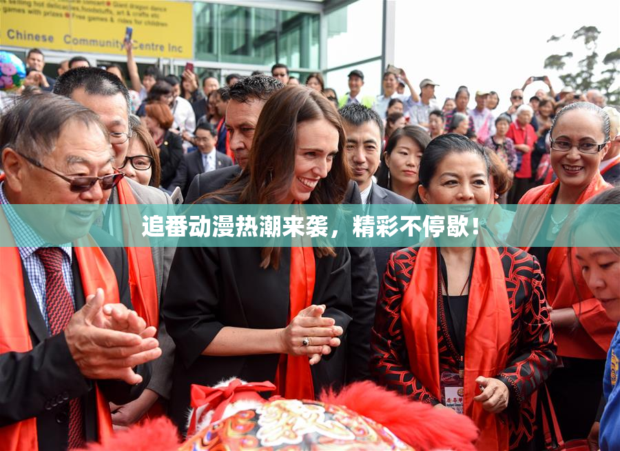 追番动漫热潮来袭，精彩不停歇！