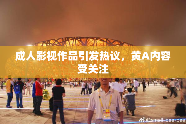 成人影视作品引发热议，黄A内容受关注