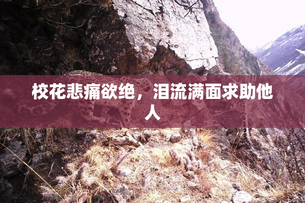 校花悲痛欲绝，泪流满面求助他人
