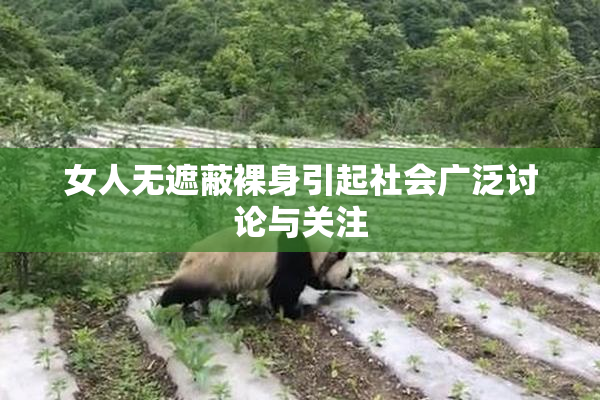 女人无遮蔽裸身引起社会广泛讨论与关注