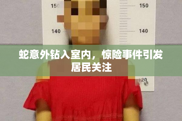 蛇意外钻入室内，惊险事件引发居民关注