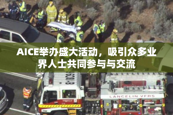 AICE举办盛大活动，吸引众多业界人士共同参与与交流