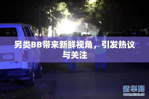 另类BB带来新鲜视角，引发热议与关注