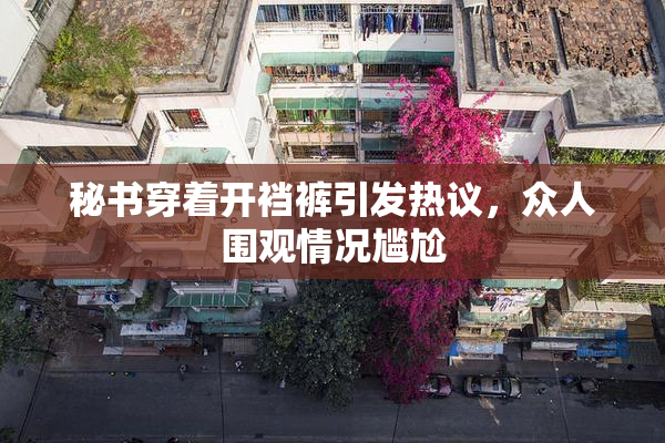 秘书穿着开裆裤引发热议，众人围观情况尴尬