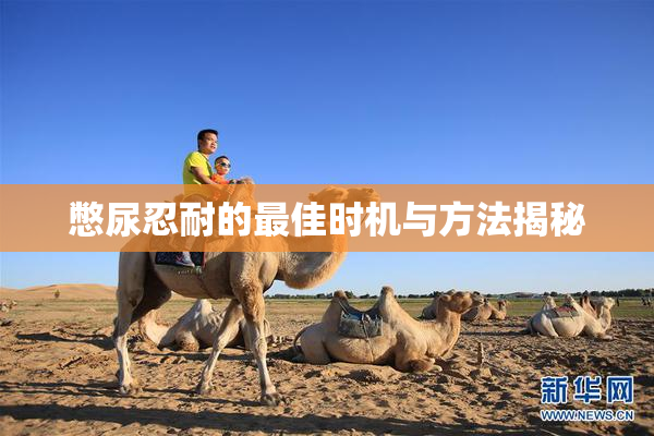 憋尿忍耐的最佳时机与方法揭秘