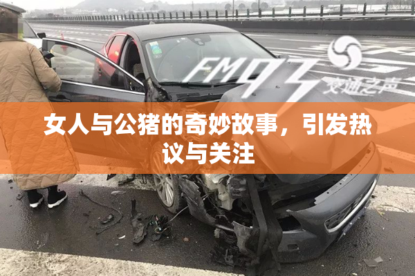 女人与公猪的奇妙故事，引发热议与关注