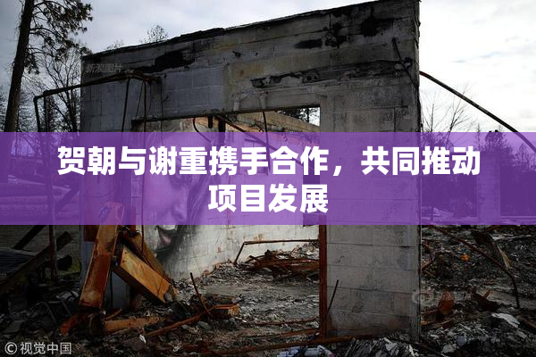 贺朝与谢重携手合作，共同推动项目发展