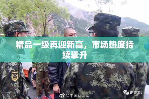 精品一级再迎新高，市场热度持续攀升