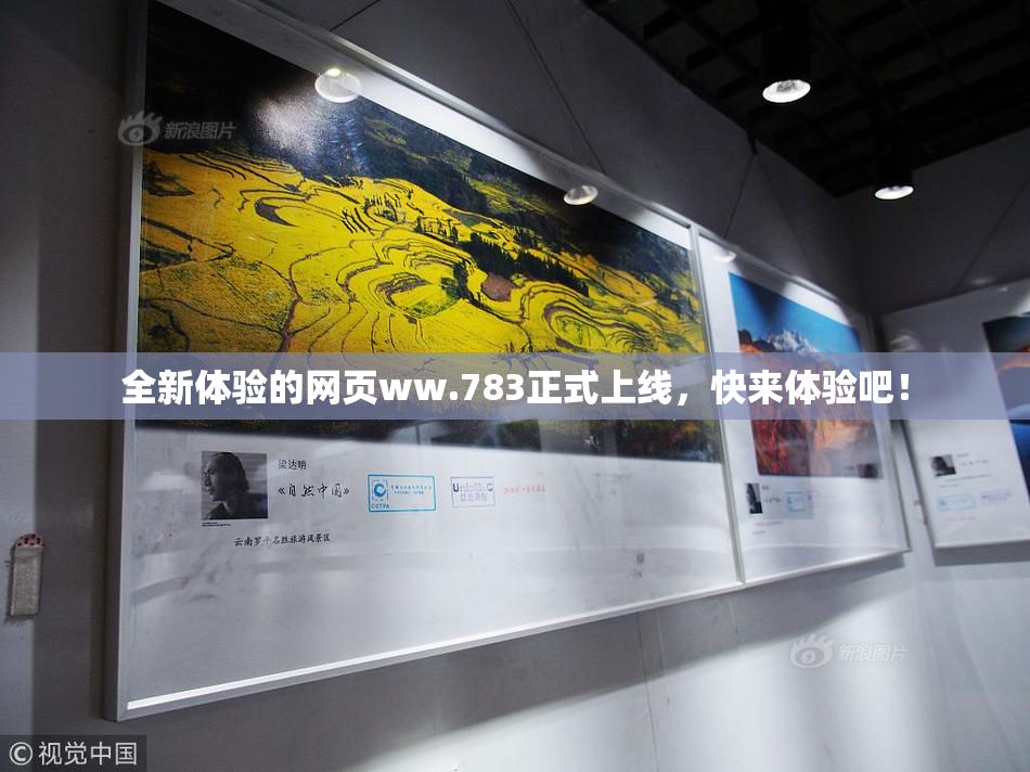 全新体验的网页ww.783正式上线，快来体验吧！