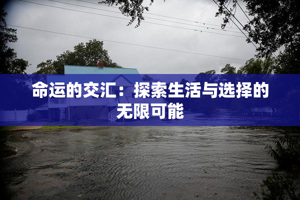命运的交汇：探索生活与选择的无限可能