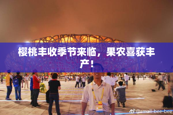 樱桃丰收季节来临，果农喜获丰产！