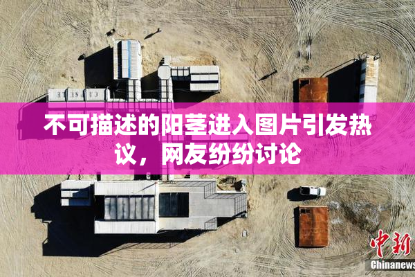不可描述的阳茎进入图片引发热议，网友纷纷讨论