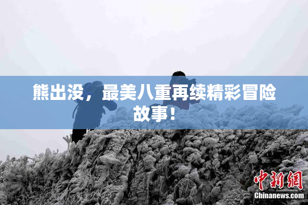 熊出没，最美八重再续精彩冒险故事！