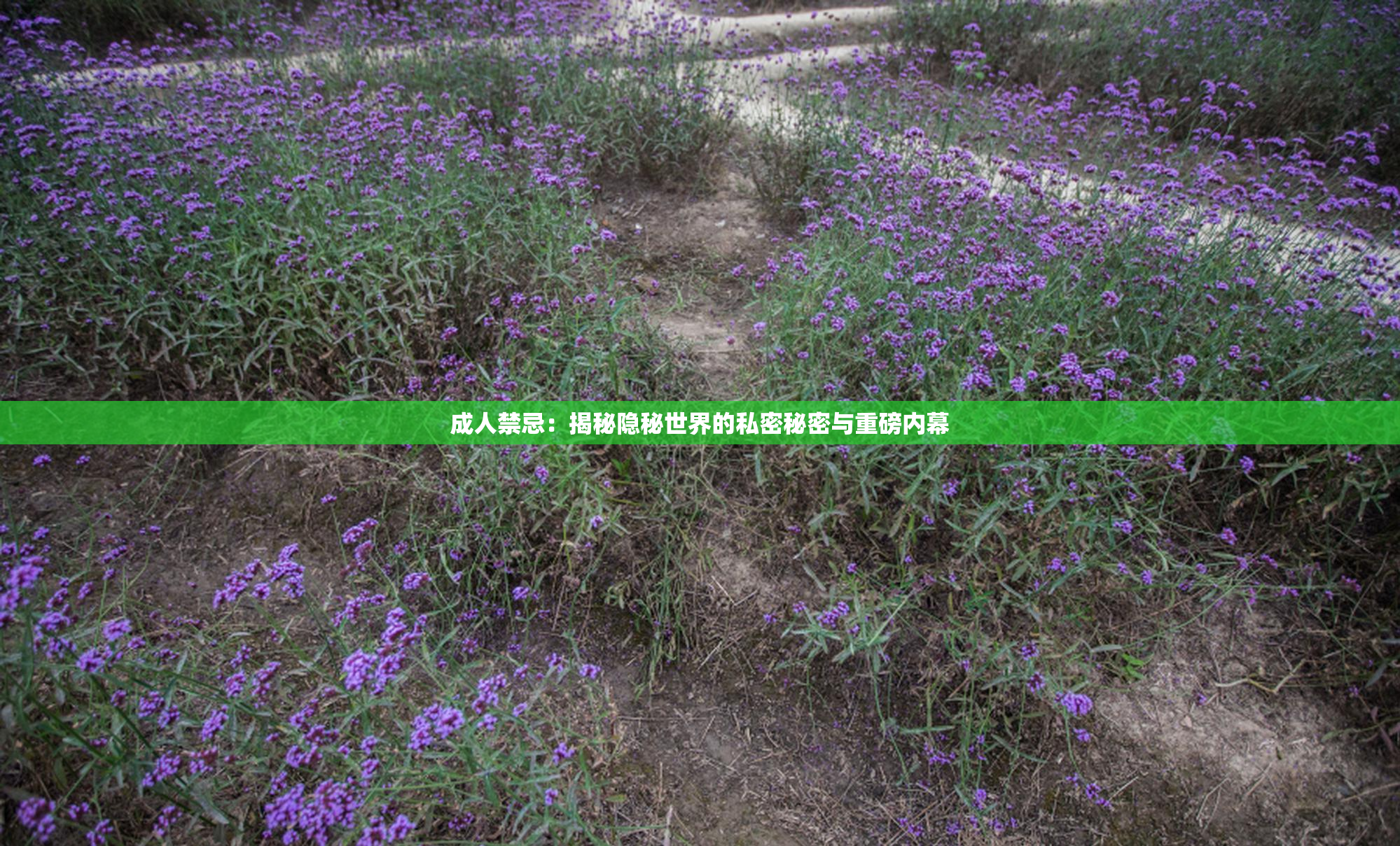 成人禁忌：揭秘隐秘世界的私密秘密与重磅内幕
