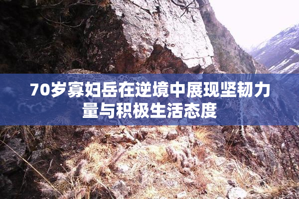 70岁寡妇岳在逆境中展现坚韧力量与积极生活态度