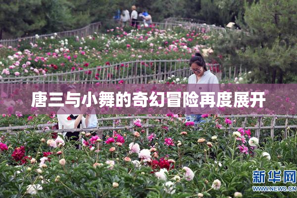唐三与小舞的奇幻冒险再度展开