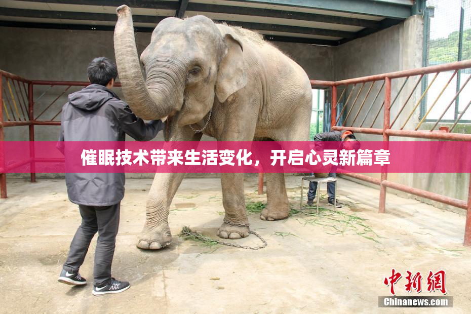 催眠技术带来生活变化，开启心灵新篇章