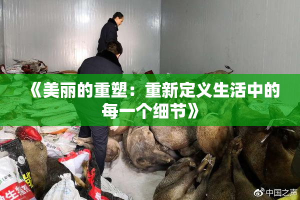 《美丽的重塑：重新定义生活中的每一个细节》