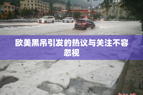 欧美黑吊引发的热议与关注不容忽视