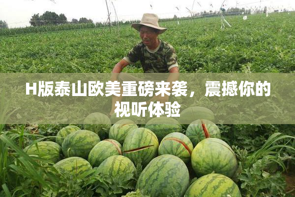 H版泰山欧美重磅来袭，震撼你的视听体验