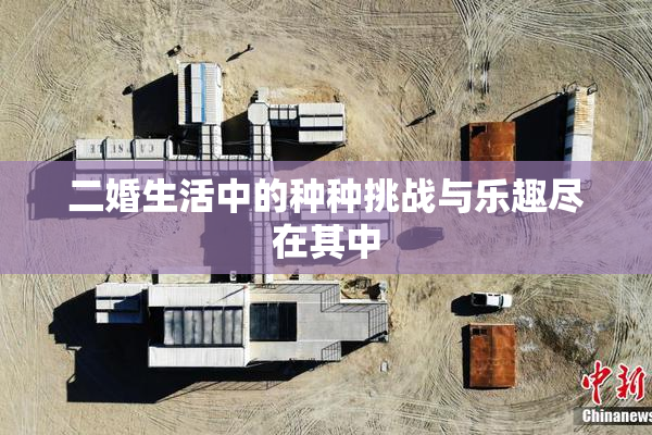 二婚生活中的种种挑战与乐趣尽在其中