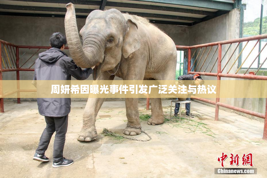 周妍希因曝光事件引发广泛关注与热议