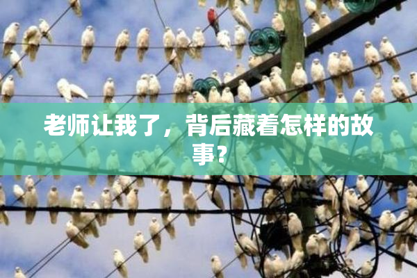 老师让我了，背后藏着怎样的故事？