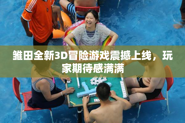 雏田全新3D冒险游戏震撼上线，玩家期待感满满