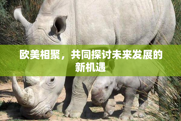 欧美相聚，共同探讨未来发展的新机遇