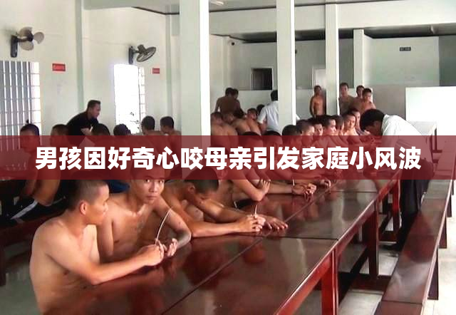 男孩因好奇心咬母亲引发家庭小风波
