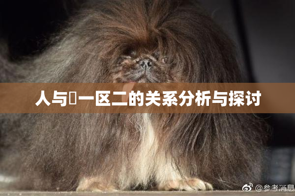 人与嘼一区二的关系分析与探讨