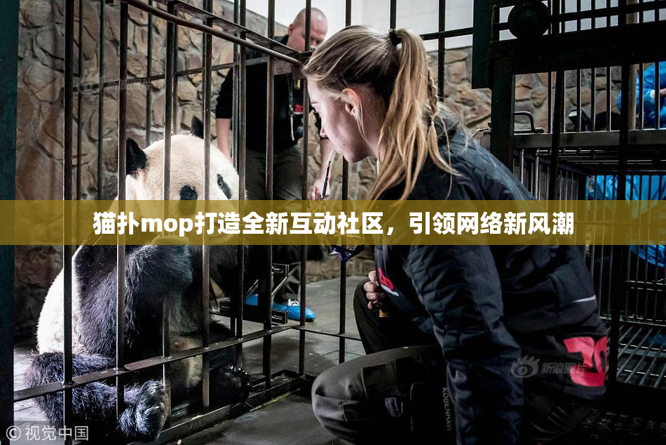 猫扑mop打造全新互动社区，引领网络新风潮