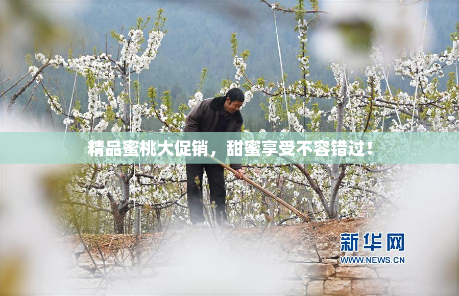精品蜜桃大促销，甜蜜享受不容错过！